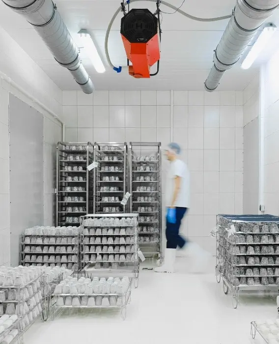 Professional Cold Room Installation Service